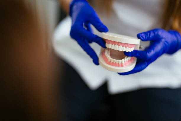 Best Dentures (Full and Partial)  in Twin Grove, IL