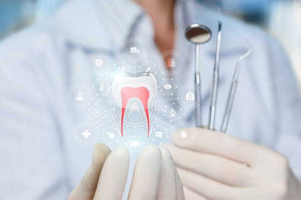 Trusted Twin Grove, IL  Holistic Dental Services Experts