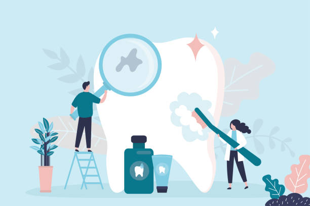 Why Choose Us for Your Dental Needs in Twin Grove, IL